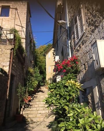 Apartment Simo Herceg Novi Kültér fotó