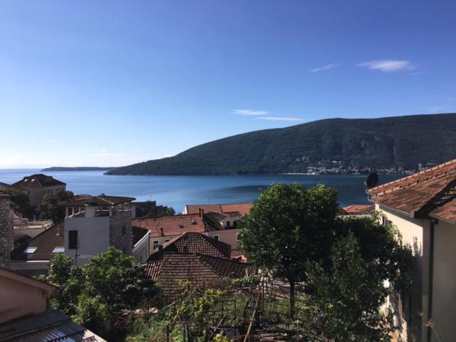 Apartment Simo Herceg Novi Kültér fotó