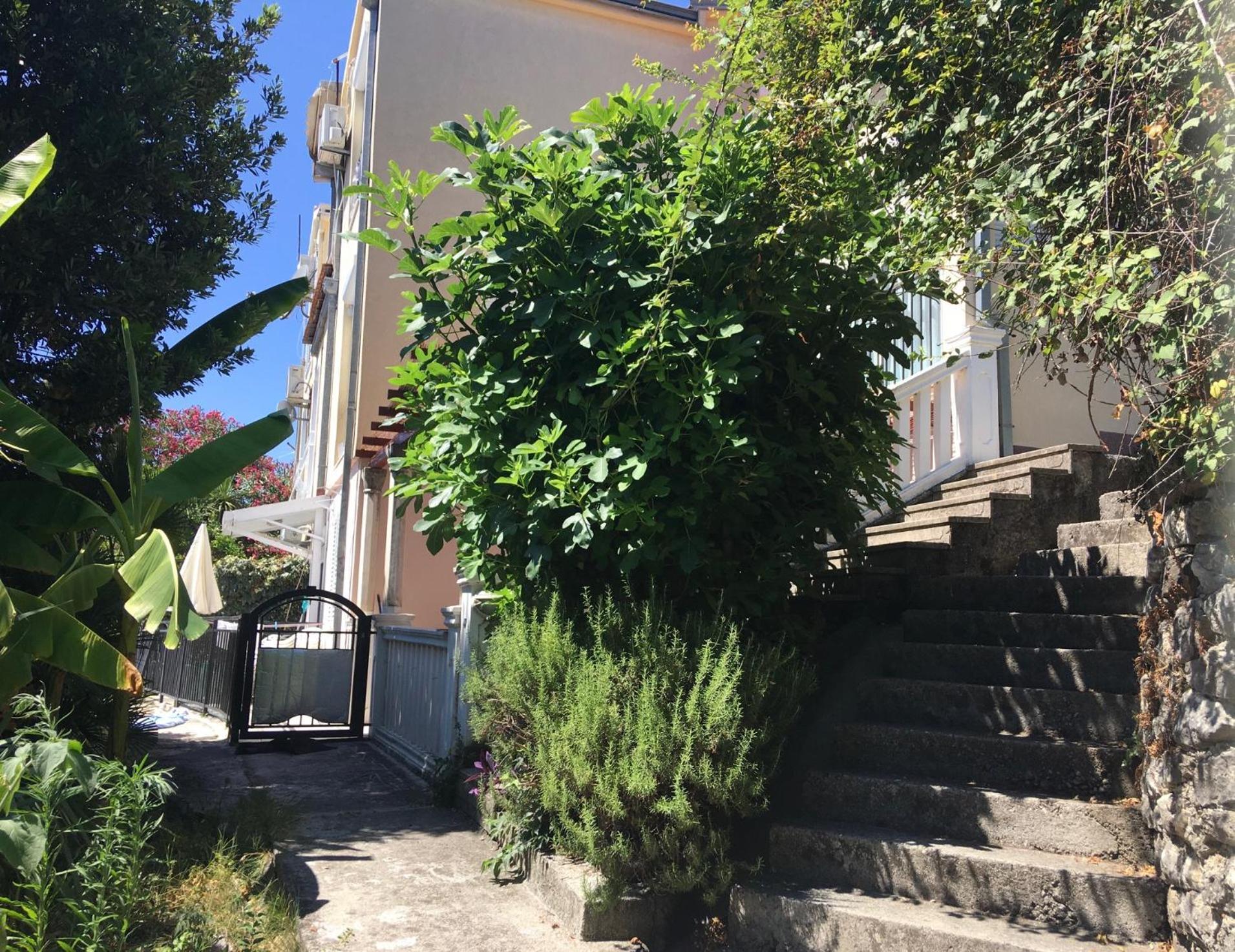 Apartment Simo Herceg Novi Kültér fotó